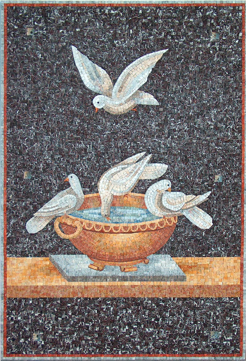 colombe del Plinio